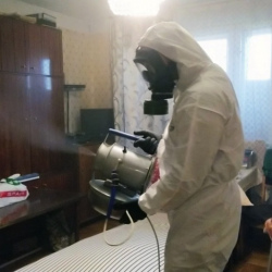 Дезинфекция от клопов Коченёво
